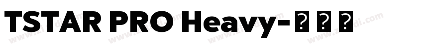 TSTAR PRO Heavy字体转换